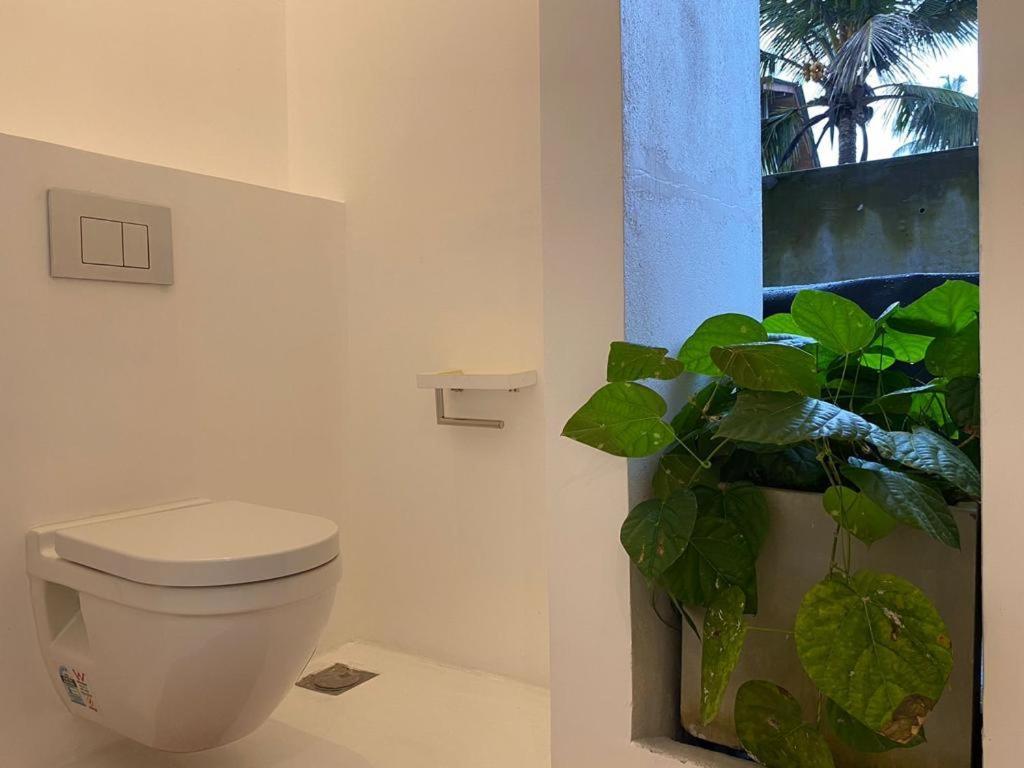 Saffron Robes Living Hotel Hikkaduwa Eksteriør billede