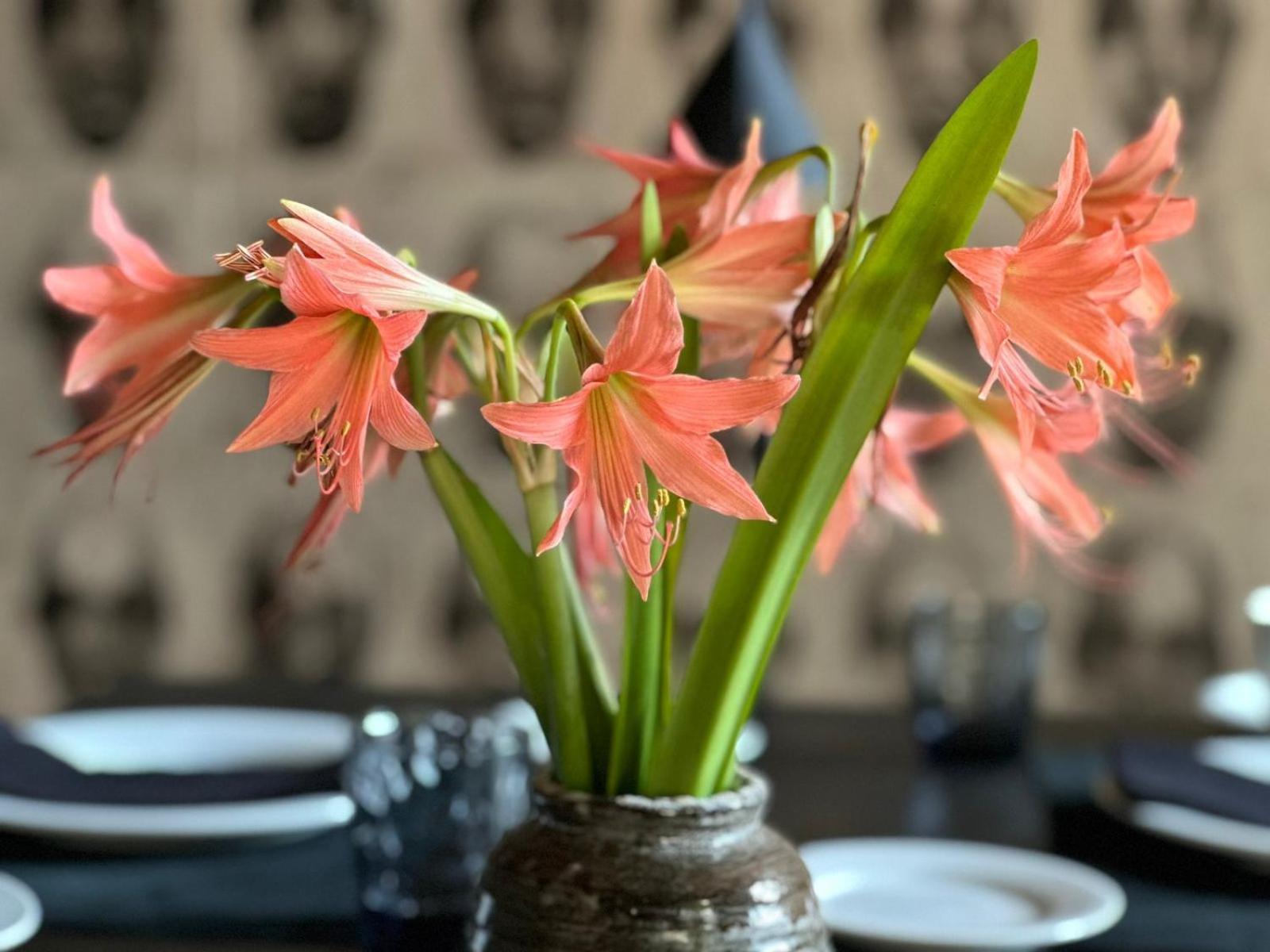 Saffron Robes Living Hotel Hikkaduwa Eksteriør billede